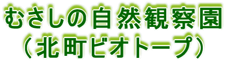 むさしの自然観察園（北町ビオトープ）